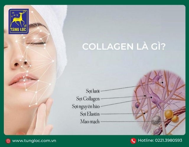 Nước uống collagen